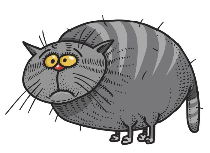 Cartoon Image of Fat Cat